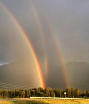 Оригинал фото