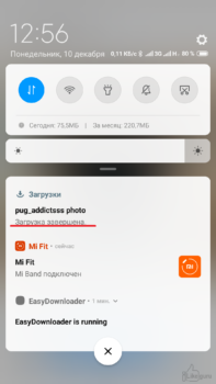 Скачанное изображение