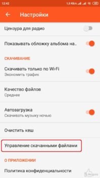 Выберите «Управление скачанными файлами»