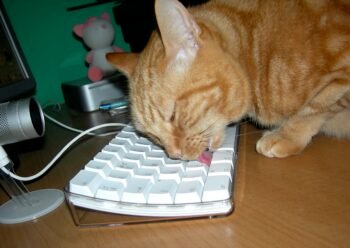 Keyboard cleaning