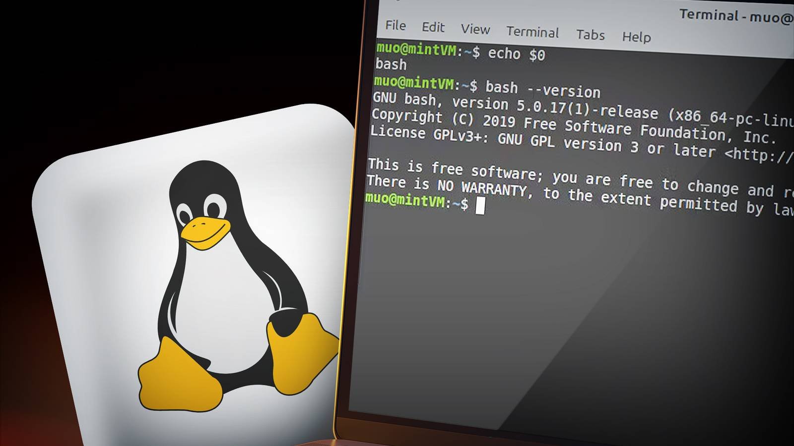 what_is_bash_in_linux_and_what_can_you_use_it_forjpg